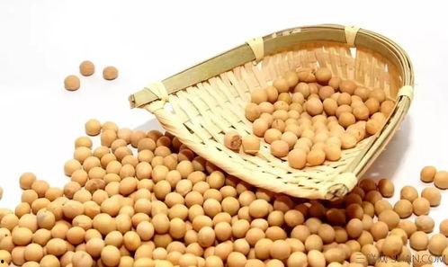 吃瓜大姐和小黄豆视频,揭秘网络红人的爆红之路