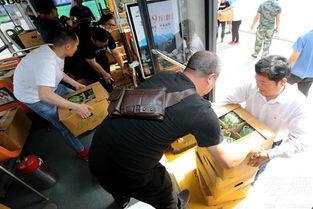 201公交车吃瓜视频,一场全民围观的网络狂欢